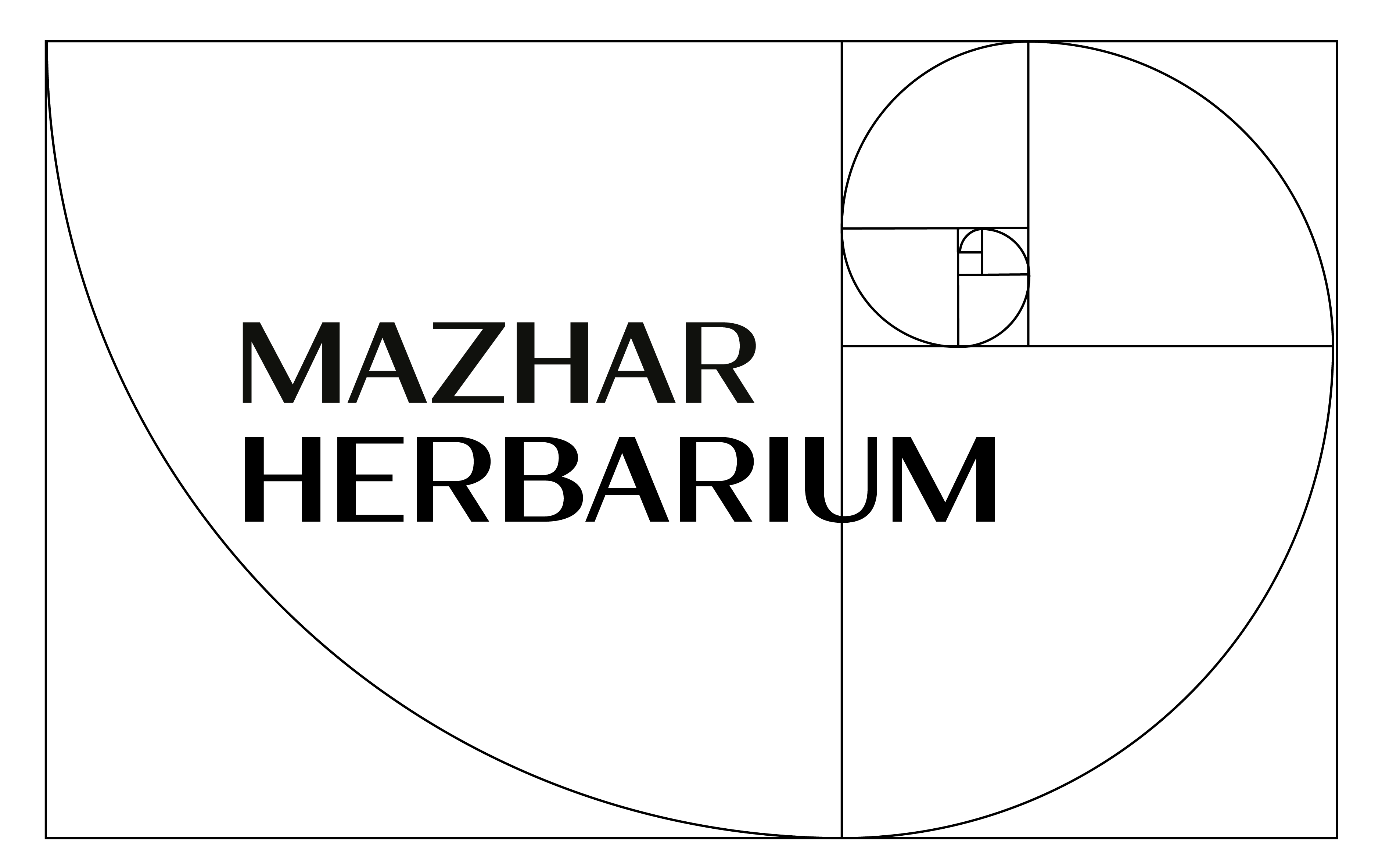 Mazhar Herbarium image
