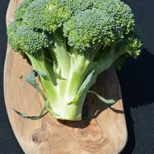 Brassica oleracea