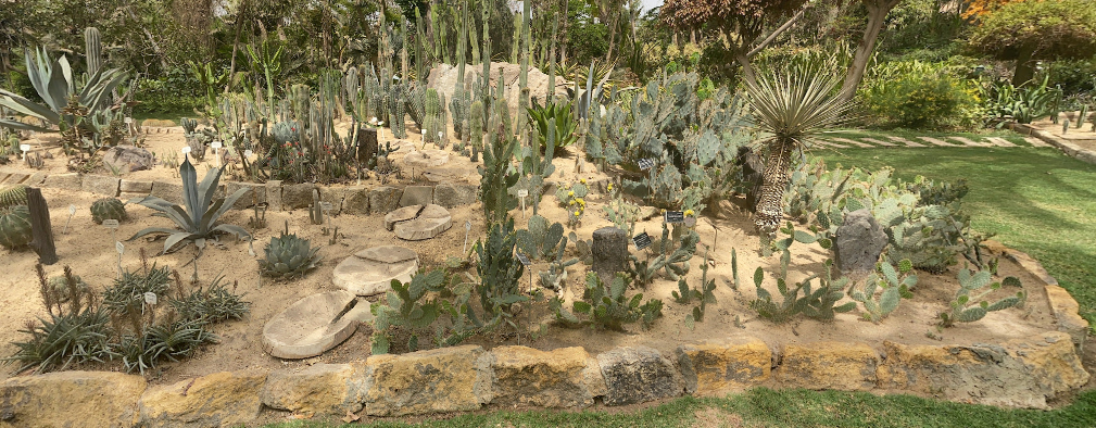 Virtual Tours Mazhar Botanic Garden