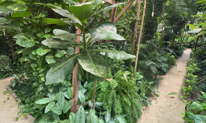 Virtual Tours Mazhar Botanic Garden