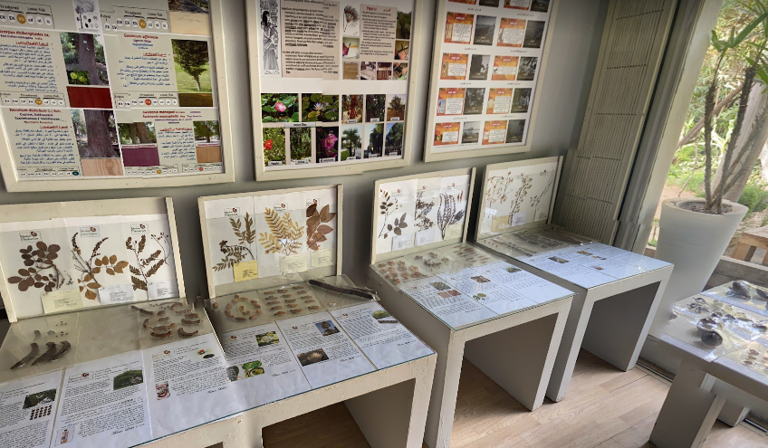 Virtual Tours Mazhar Botanic Garden