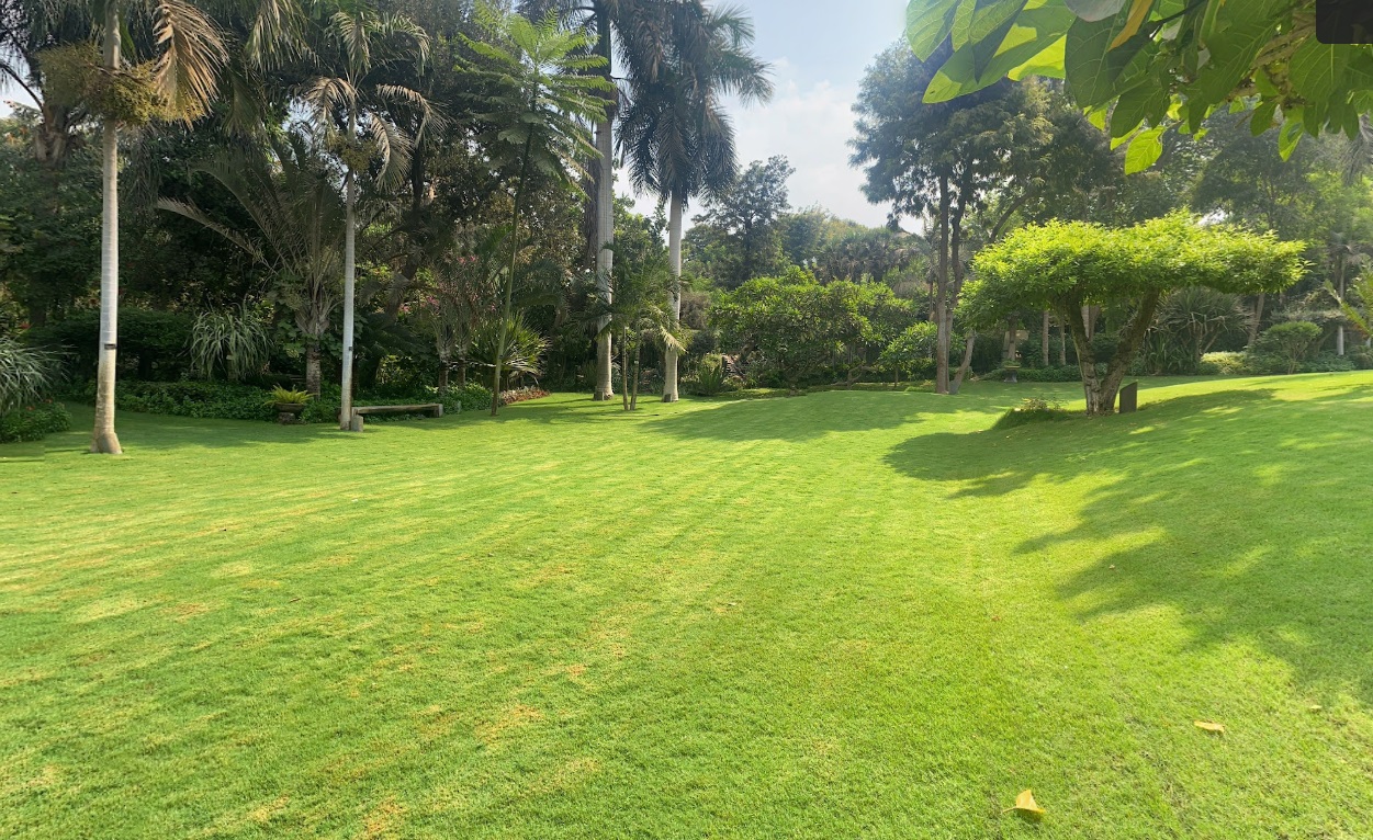 Virtual Tours Mazhar Botanic Garden