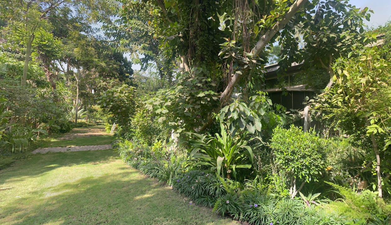 Virtual Tours Mazhar Botanic Garden