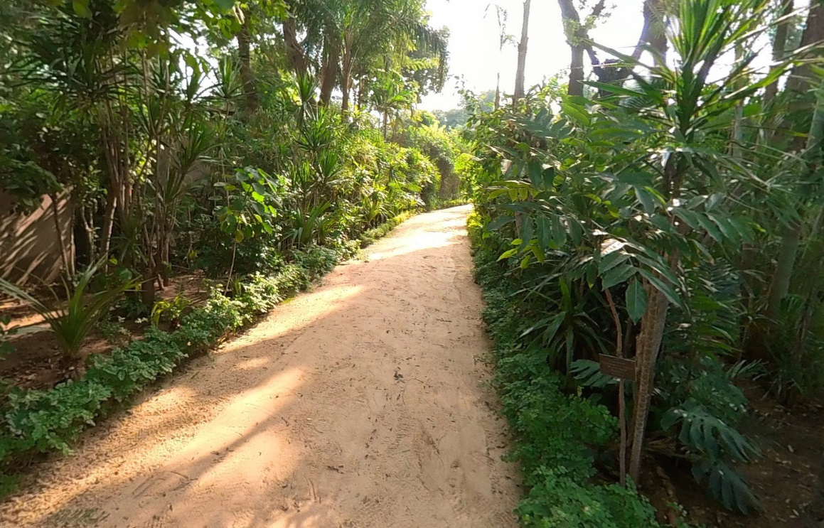 Virtual Tours Mazhar Botanic Garden